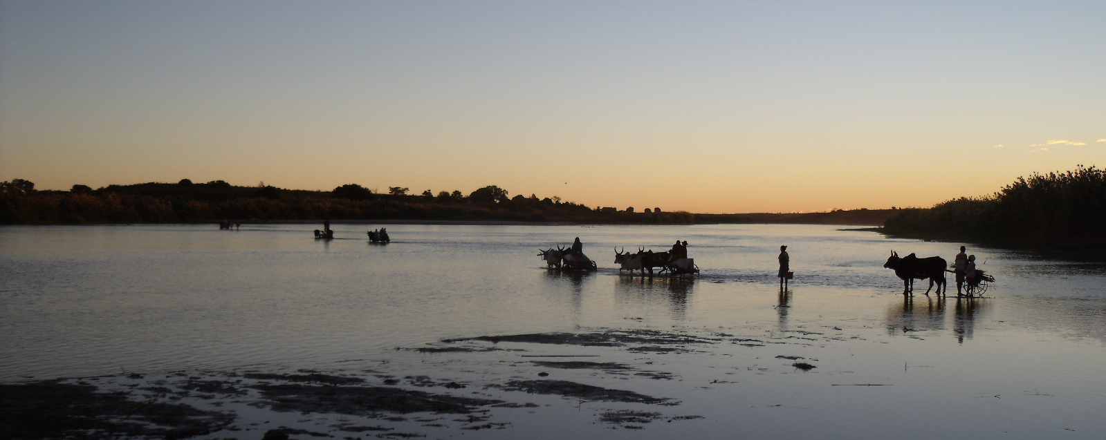 Traversée de la mahajamba au matin